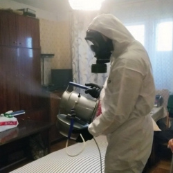 Дезинфекция от клопов в Дубровицах