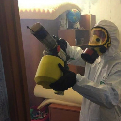 Уничтожение клопов в квартире. Дубровицы